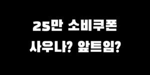 소비쿠폰 목욕탕 성형외과 사용 가능? 가맹점 확인 찾는 법