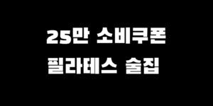 민생회복지원금 술집 필라테스 이용 가능? 사용처 확인 찾는 법