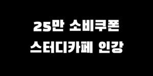 민생회복지원금 스터디카페 인터넷강의 사용처 확인 찾는 법