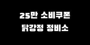 민생회복지원금 정비소 치킨 사용처 확인 가맹점 찾는 법