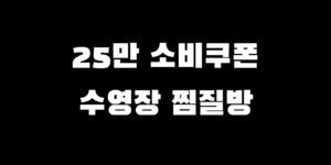 민생회복지원금 수영장 찜질방 사용처 정리 가맹점 확인 찾는 법