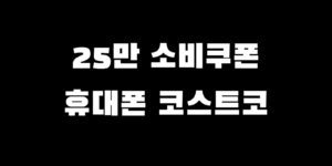 민생회복지원금 휴대폰 코스트코 사용처 가맹점 확인 찾는 법