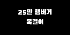 민생회복지원금 햄버거 주문 소비쿠폰 목걸이 살 수 있을까?