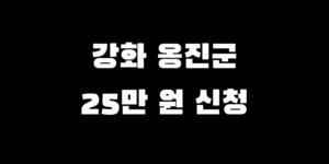인천 강화 옹진군 전국민 소비쿠폰 신청 추가금 기간 방법