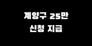 인천 계양구 전국민 소비쿠폰 추가금 지급 언제 신청 방법