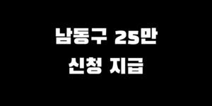 인천 남동구 전국민 소비쿠폰 추가금 지급 언제 신청 방법