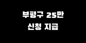 인천 부평구 전국민 소비쿠폰 추가금 지급 언제 신청 방법