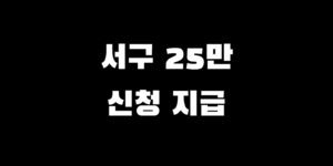 인천 서구 전국민 소비쿠폰 추가금 지급 언제 신청 방법