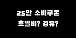 소비쿠폰 주유소 숙박 사용처 가능 가맹점 검색 찾는 법