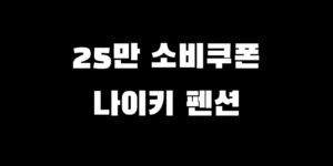 민생회복지원금 나이키 펜션 결제 가능?! 사용처 & 가맹점 찾는 법