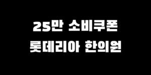 민생회복지원금 롯데리아 사용 한의원 소비쿠폰 결제 가능?