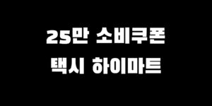 민생회복지원금 택시 하이마트 결제 가능?! 쿠폰 사용처 찾는 법