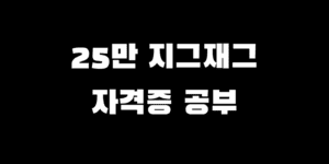 민생회복지원금 지그재그 사용 소비쿠폰 자격증 결제 가능?
