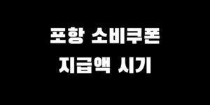 포항 민생회복 지원금 신청 소비쿠폰 지급액 시기 언제 얼마 받나?