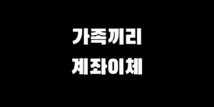 AI 세무조사 시작 가족끼리 계좌이체 안전하게 하는 방법 A to Z