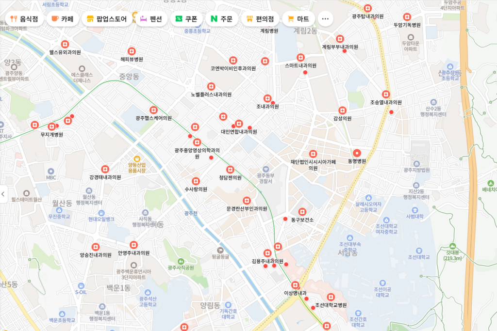 광주 마운자로 처방 병원 네이버지도로 찾는 중