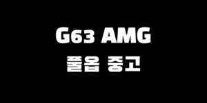 이미주 차 벤츠 G63 AMG 지바겐 풀옵션 중고 가격 연비 내부