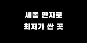 세종 마운자로 가격 싼 곳 처방 병원 찾기 싸게 사는 법