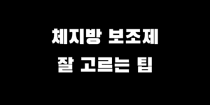 체지방-분해-감소-보조제-필수-선택-주의-성분-추천