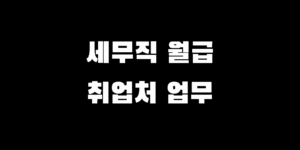 9급 세무직 공무원 월급 실수령액 취업처 하는 일 총정리