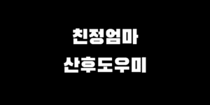 출산 D-45 친정엄마 산후도우미 등록 & 바우처 신청 완벽 정리