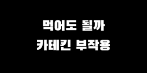 카테킨 흔한 부작용 5가지와 다이어트 대체 보조제 찾는 팁
