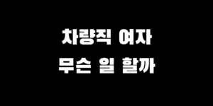군무원 차량직 여자 근무 시 정비 안 하고 행정 업무만 할까