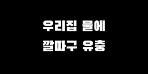 김천시 깔따구 유충 발견, 우리 집 수돗물 안전할까 원인 대응 예방