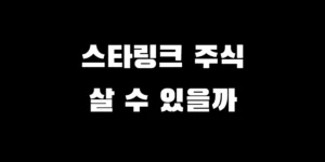 스타링크 주식 사는법, 스페이스X 비상장 거래 방법 및 최소 금액은?
