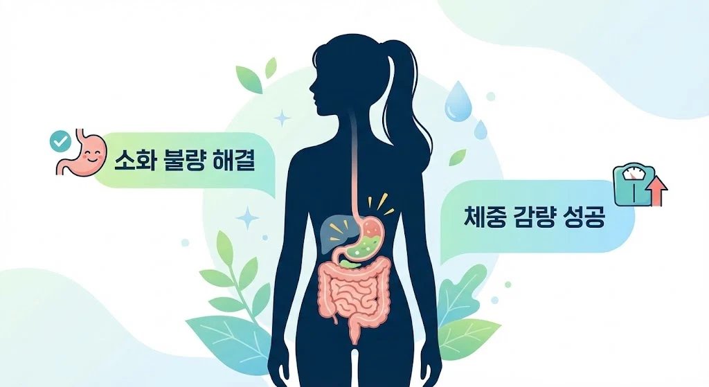 마운자로 식단 관리로 소화 불량 해결 및 체중 감량 성공을 표현한 인포그래픽