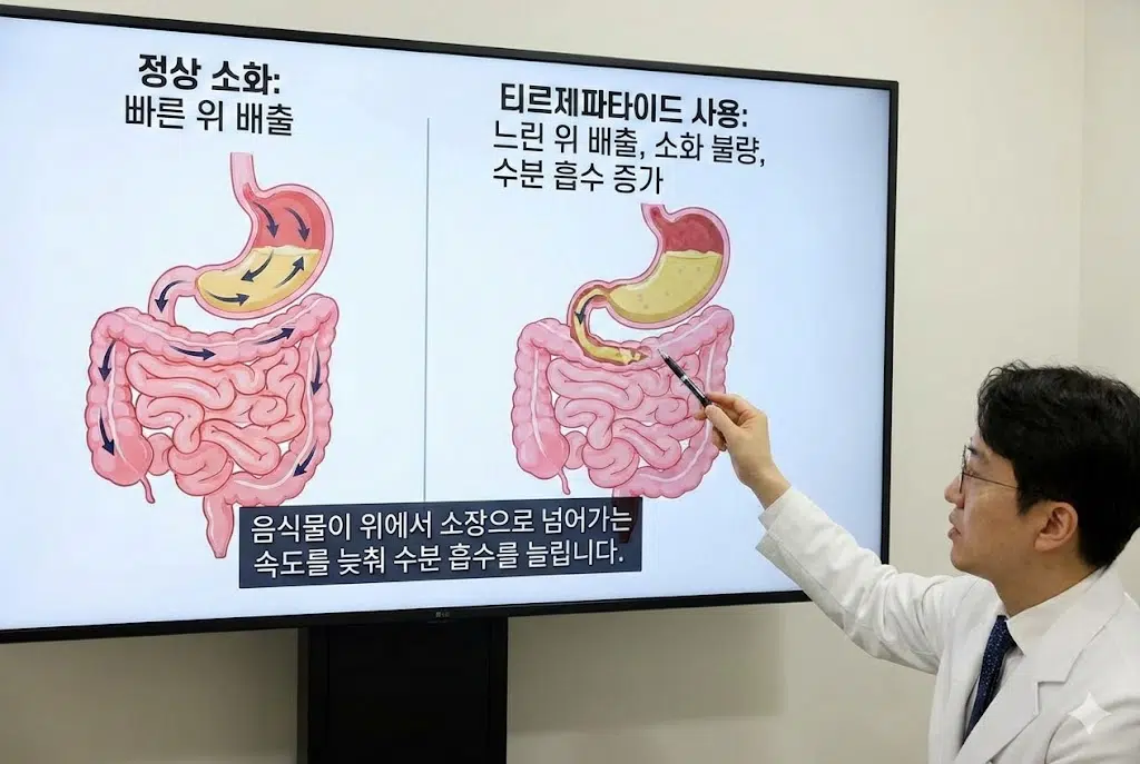 티르제파타이드 복용 시 소화불량 같은 증상이 느껴지는 이유와 장내 수분 흡수 과정