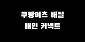 쿠팡이츠 배달파트너 vs 배민커넥트 도보 투잡 알바 수입 비교 후기 모음