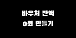 2026 임신출산바우처 병원 외 사용처 및 국민행복카드 잔액 사용 방법