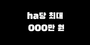 2026 전략작물직불금 단가표 품목별 지원금과 신청 기간 안내