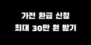 으뜸효율 가전제품 구매비용 환급 신청 방법과 30만원 지원 혜택