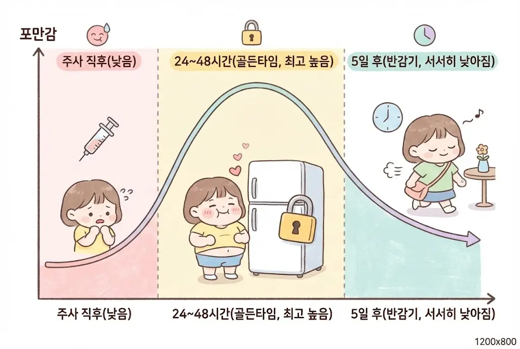 시간 경과에 따른 마운자로 혈중 농도 및 식욕 억제 효과 변화 그래프 인포그래픽