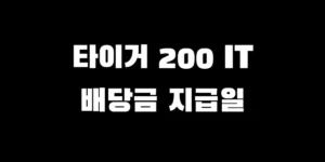 미래에셋 TIGER 200 IT 배당금 지급일 확인 및 1억 투자 시 예상 월 배당금 수익률 분석