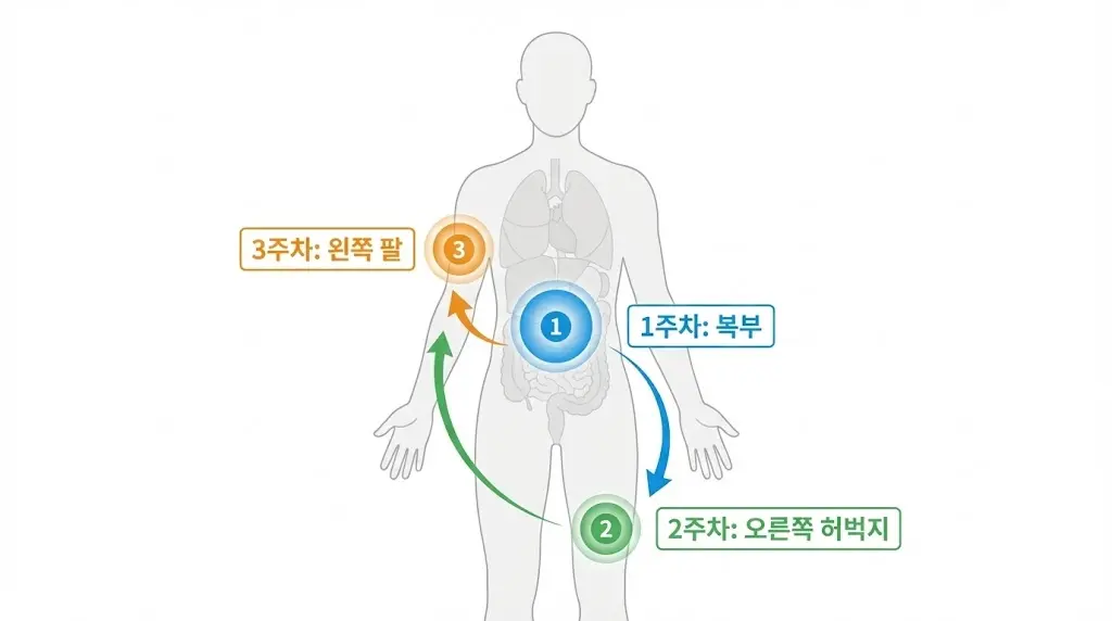 인체 모형을 배경으로 한 마운자로 3단계 주사 부위 순환 인포그래픽