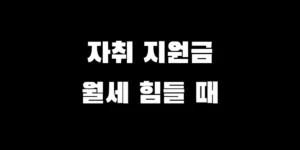 2026년 대학생 자취 지원금 및 정부 월세 지원 혜택 요약 이미지