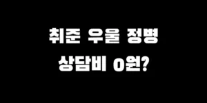 2026년 지자체 청년 마음건강 바우처 신청 및 심리상담 지원 가이드