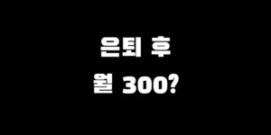 은퇴 후 적정 노후 생활비 계산법과 월 평균 지출액 안내