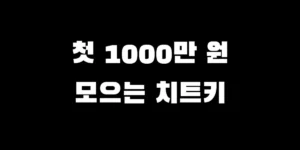 사회초년생이 1000만 원을 가장 빠르게 모으는 5단계 현실적인 재테크 저축 플랜