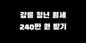 2026년 강릉 청년월세지원 신청 방법 및 조건 서류 요약 이미지