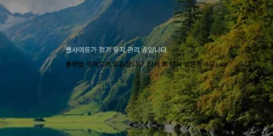 Cpanel 워드프레스 로그인, 웹사이트 정기 유지 관리중 오류 뜬 이유 해결 방법