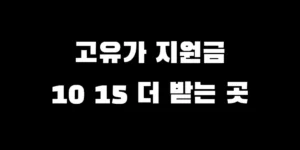 2026년 고유가 지원금 인구감소지역 및 특별지역 10만원 추가 혜택 대상 지역 안내