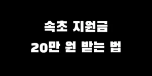 속초시 이병선 민생지원금 20만원 신청 수령 방법 총정리